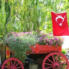 Lake Iznik