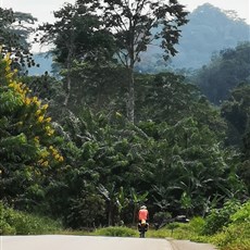 Bitam, Gabon to Ambam, Cameroon