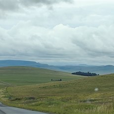 Between Wakkerstroom and Memel