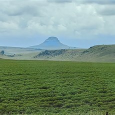 Between Memel and Clarens
