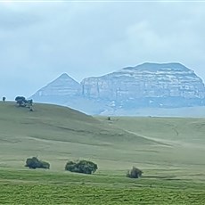 Between Memel and Clarens
