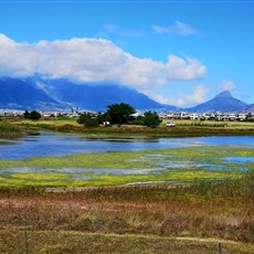 Cape Town to Melkbosstrand