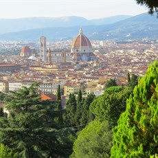 View from Basilica