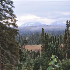 Between Kenai and Homer