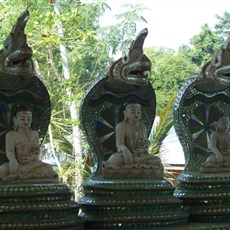 Snake pagoda