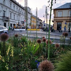 Warsaw