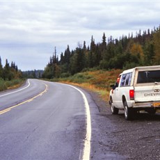 Between Kenai and Homer