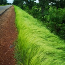 Yendi to Tamale