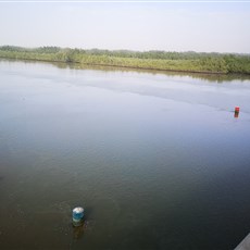 The River Gambia