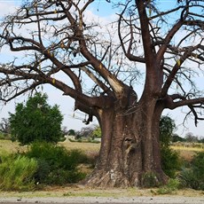 Xangongo to Cahama