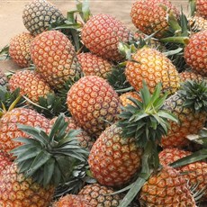 Roadside pineapple