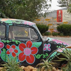 Desert Rose between Moorreesburg to Piketberg