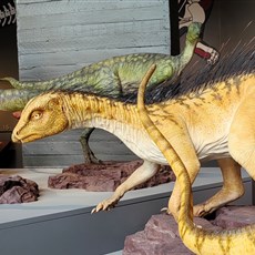 Kgodumodumo Dinosaur Centre