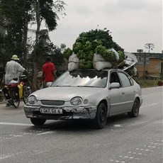 Bondi to Les Saras