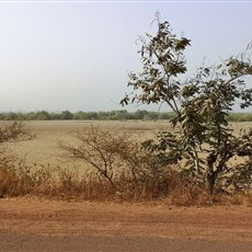 Bissau to Ingoré
