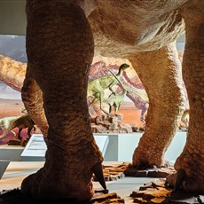 Kgodumodumo Dinosaur Centre