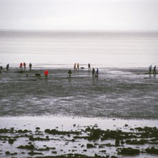 Ninilchik, Alaska