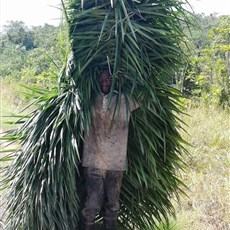 Gbarnga to Gbatala