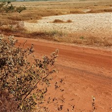Bissau to Ingoré