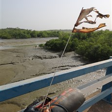 Bissau to Ingoré
