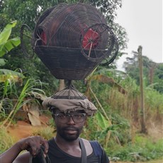 Mbalmayo to Yaoundé