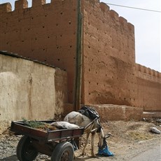 Taroudant