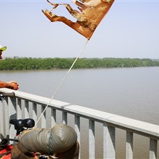 Bissau to Ingoré