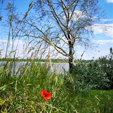 Warsaw to Warka