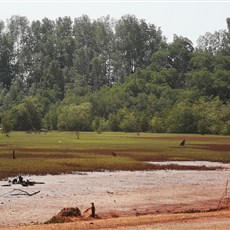 Bissau to Ingoré