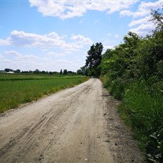 Warsaw to Warka