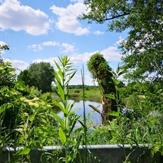 Warsaw to Warka