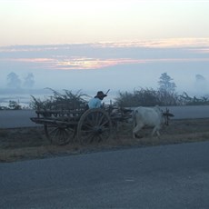 Between Mandalay and Pindaya