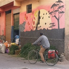 Taroudant