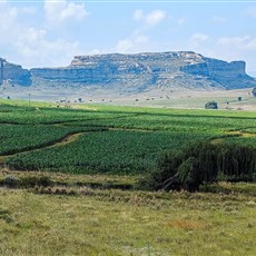 Between Clarens and Wepener