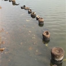 Ingoré to Sao Domingos