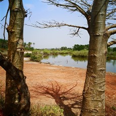 Ingoré to Sao Domingos
