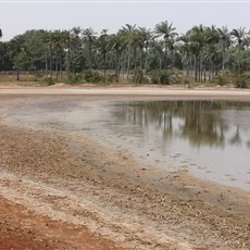 Ingoré to Sao Domingos