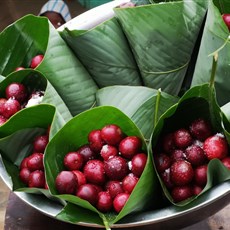 Cherries, Les Saras