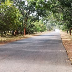Ingoré to Sao Domingos