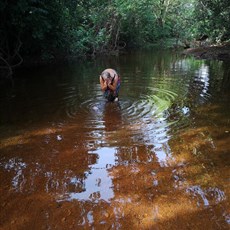 Dabiss - bathing spot