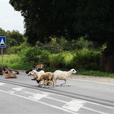 Larabanga to Sawla