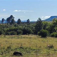 Between Aliwal North and East London