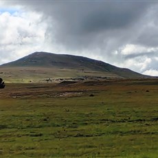 Between Aliwal North and East London