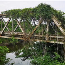 Bushrod Island to Gbah