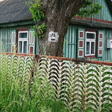 Radom to Starachowice
