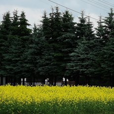 Radom to Starachowice