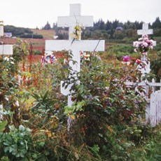 Ninilchik, Alaska