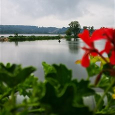 Starachowice to Szydłów