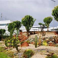 Casablanca airport