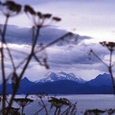 Homer, Alaska